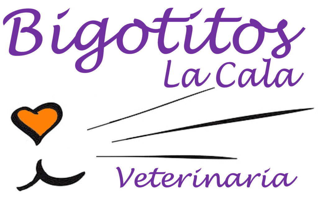 Clínica Veterinaria Bigotitos La Cala Mijas Costa Málaga Veterinary Clinic Center