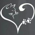 Bigotitos La Cala Clínica veterinaria & pet shop en La Cala de Mijas Málaga The Caring Vets in La Cala